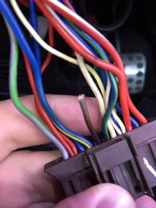 13342176_10153528090821363_2116106767_n